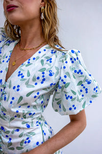 Anita Dress Berry Print